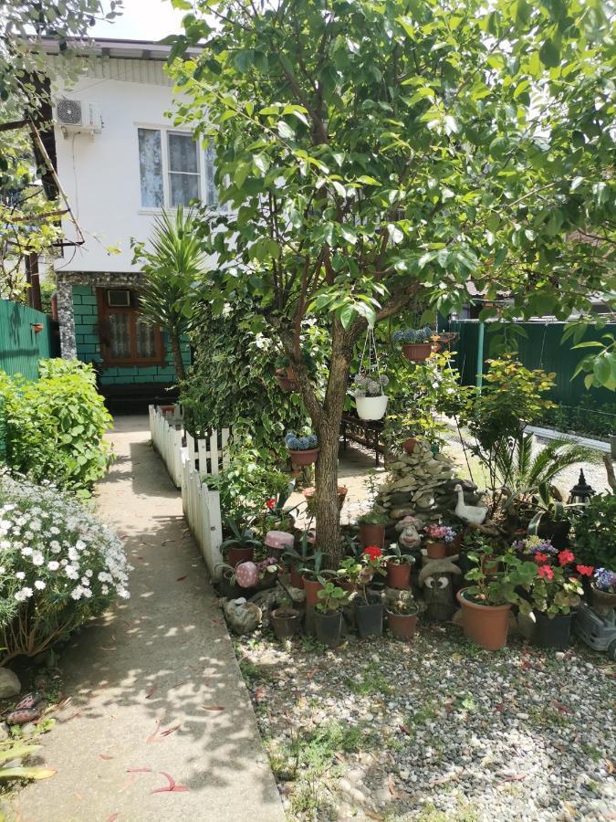 Гостевой Дом В Гаграх"Море Солнца" Gagra Eksteriør billede